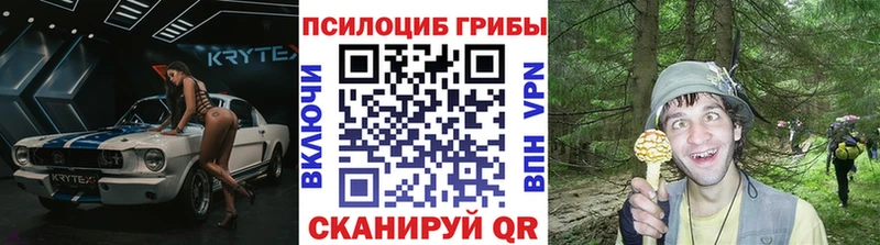 Галлюциногенные грибы прущие грибы  Темрюк 
